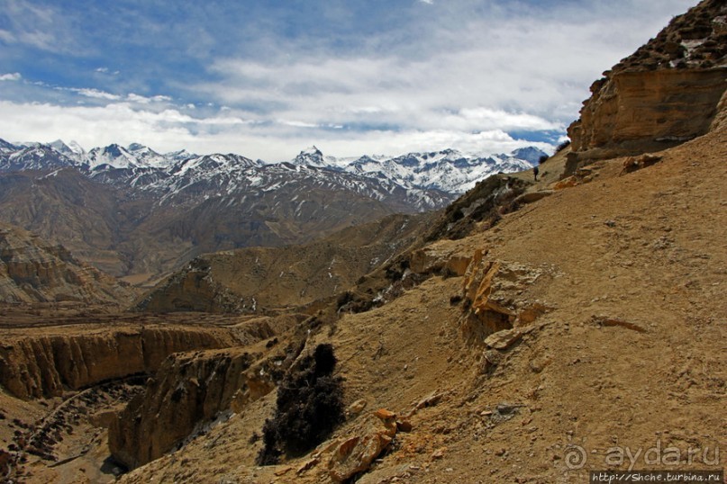 Мустанг. Обратная перемотка. День второй — чистое созерцание