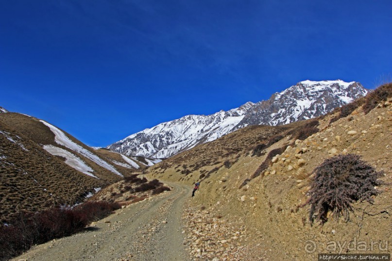 Мустанг. Обратная перемотка. День второй — чистое созерцание
