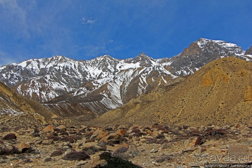 Мустанг. Обратная перемотка. День второй — чистое созерцание