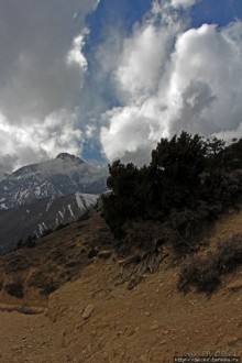 Мустанг. Обратная перемотка. День второй — чистое созерцание