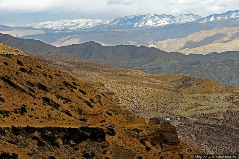 Мустанг. Обратная перемотка. День второй — чистое созерцание