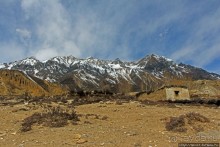 Мустанг. Обратная перемотка. День второй — чистое созерцание