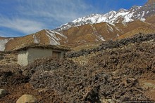 Мустанг. Обратная перемотка. День второй — чистое созерцание