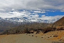 Мустанг. Обратная перемотка. День второй — чистое созерцание