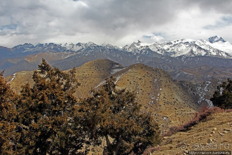 Мустанг. Обратная перемотка. День второй — чистое созерцание
