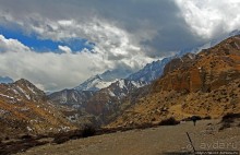 Мустанг. Обратная перемотка. День второй — чистое созерцание