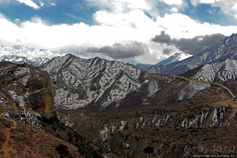 Мустанг. Обратная перемотка. День второй — чистое созерцание