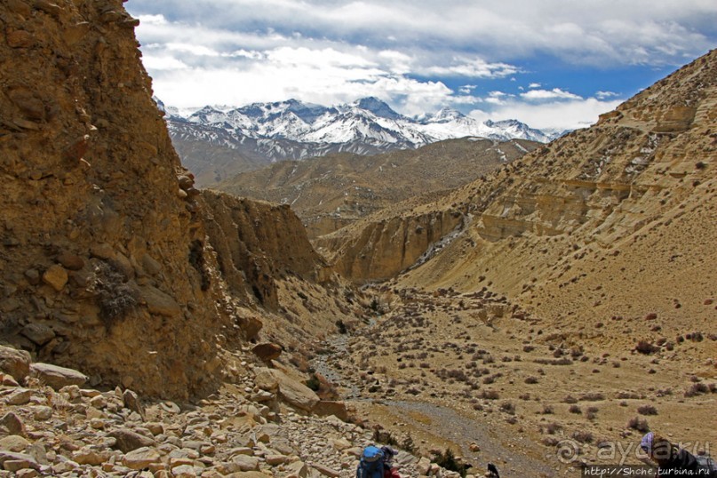 Мустанг. Обратная перемотка. День второй — чистое созерцание