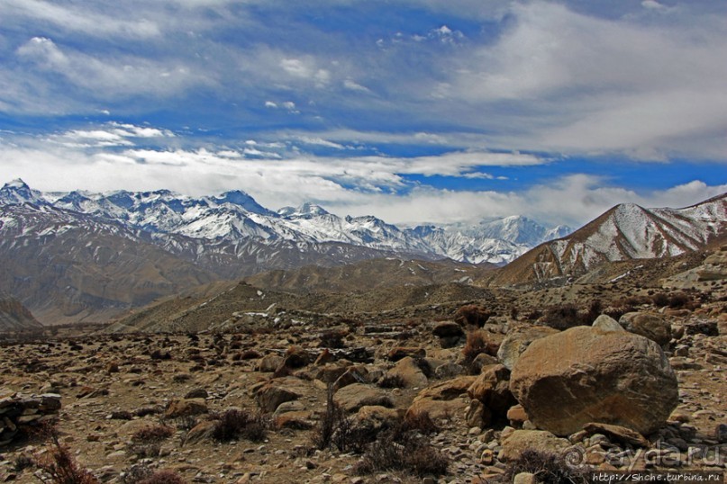 Мустанг. Обратная перемотка. День второй — чистое созерцание