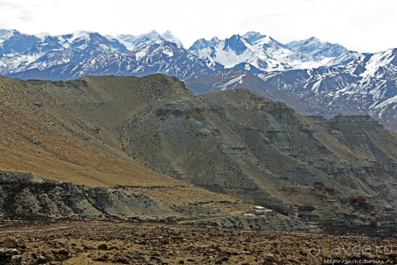 Мустанг. Обратная перемотка. День второй — чистое созерцание