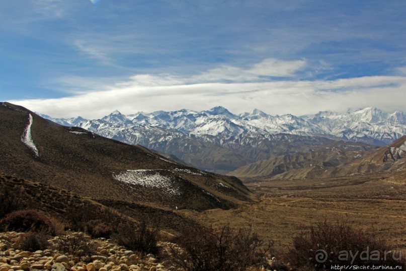 Мустанг. Обратная перемотка. День второй — чистое созерцание