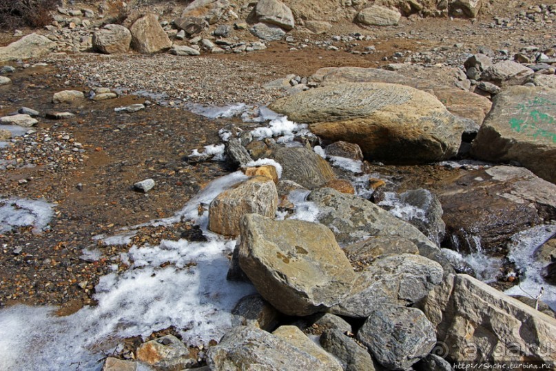 Мустанг. Обратная перемотка. День второй — чистое созерцание
