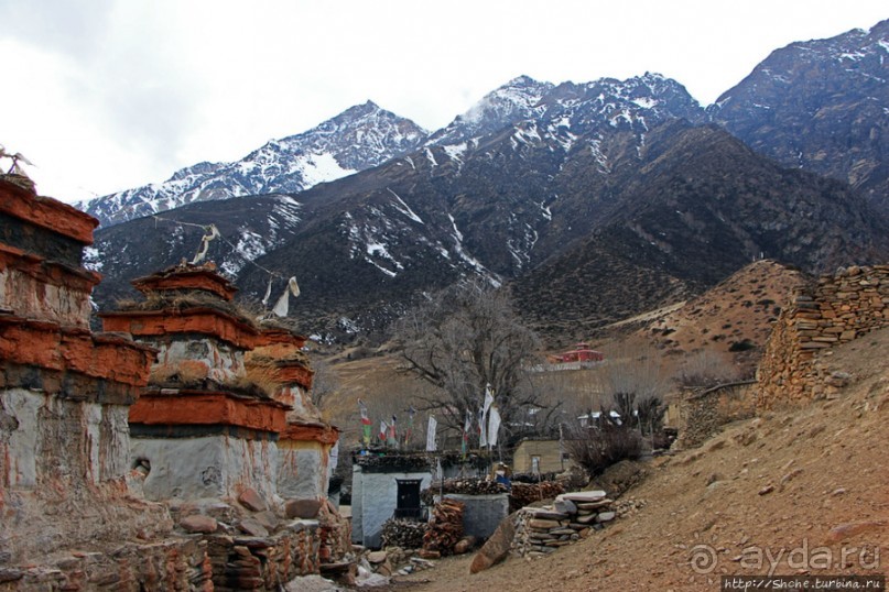 Мустанг. Обратная перемотка. День второй — чистое созерцание