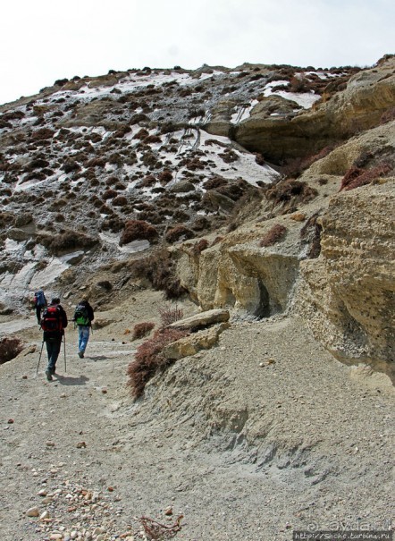 Мустанг. Обратная перемотка. День второй — чистое созерцание