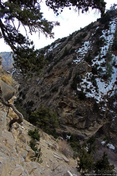 Мустанг. Обратная перемотка. День второй — чистое созерцание