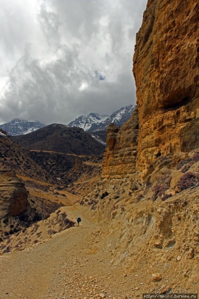 Мустанг. Обратная перемотка. День второй — чистое созерцание