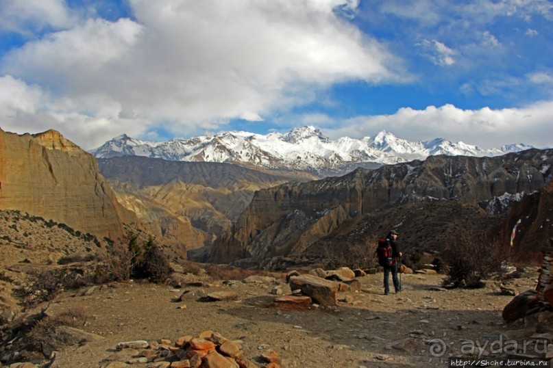 Мустанг. Обратная перемотка. День второй — чистое созерцание