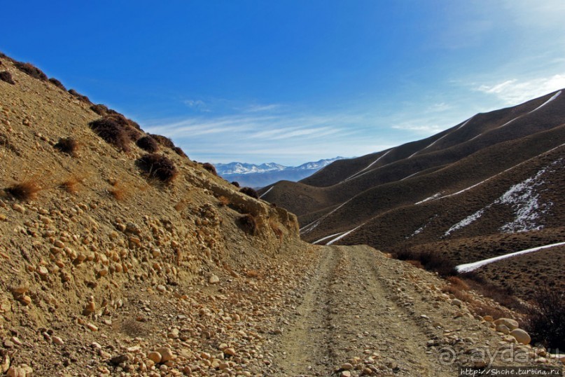 Мустанг. Обратная перемотка. День второй — чистое созерцание