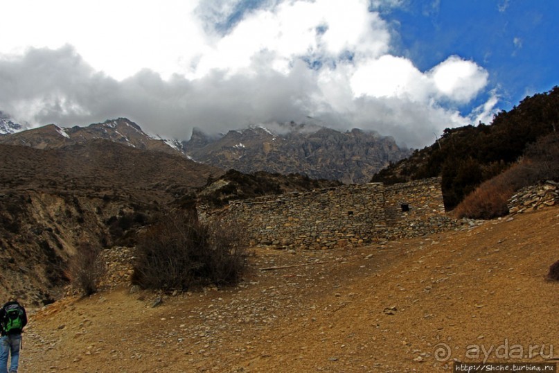 Мустанг. Обратная перемотка. День второй — чистое созерцание