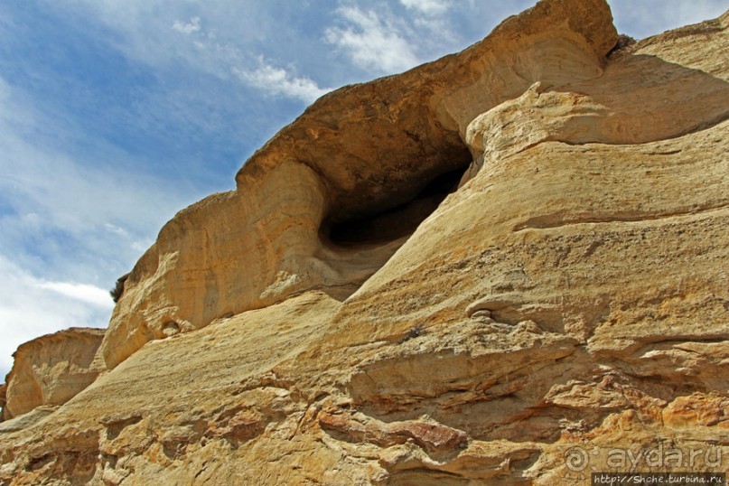 Мустанг. Обратная перемотка. День второй — чистое созерцание
