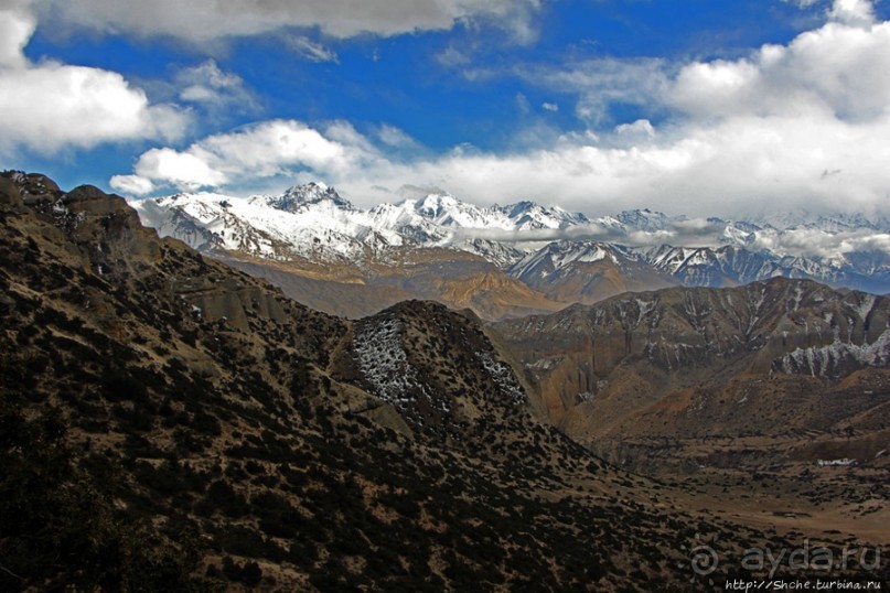 Мустанг. Обратная перемотка. День второй — чистое созерцание