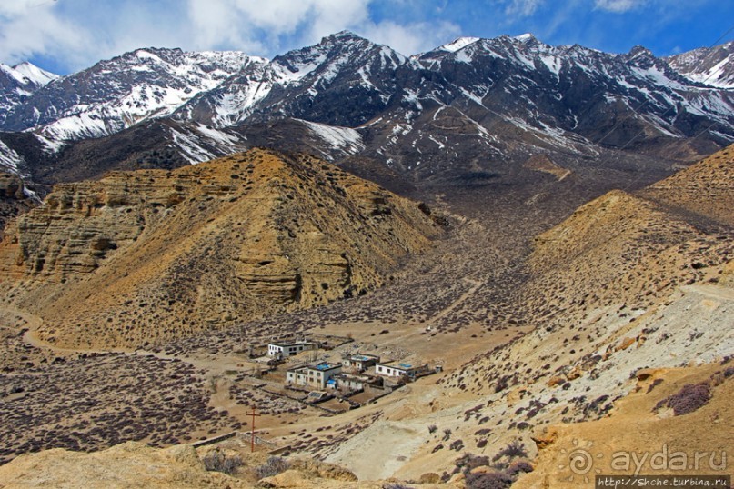 Мустанг. Обратная перемотка. День второй — чистое созерцание