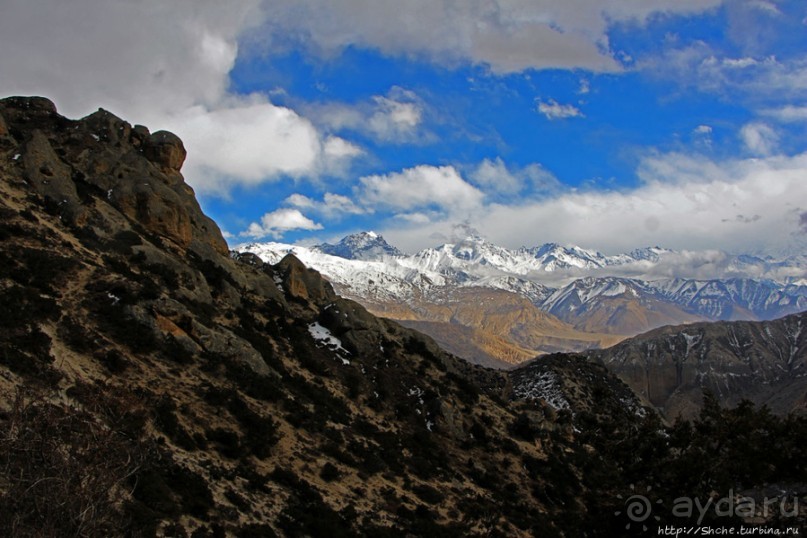 Мустанг. Обратная перемотка. День второй — чистое созерцание