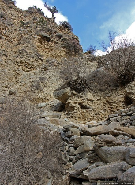 Мустанг. Обратная перемотка. День второй — чистое созерцание