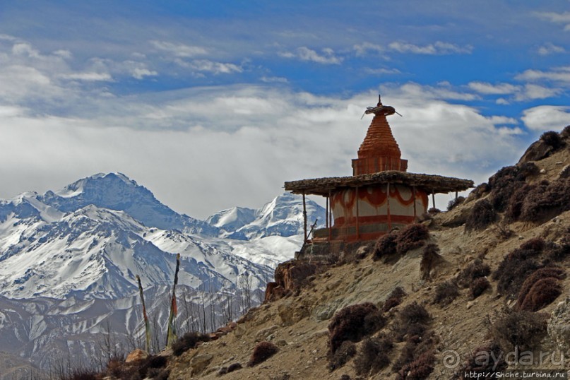 Мустанг. Обратная перемотка. День второй — чистое созерцание