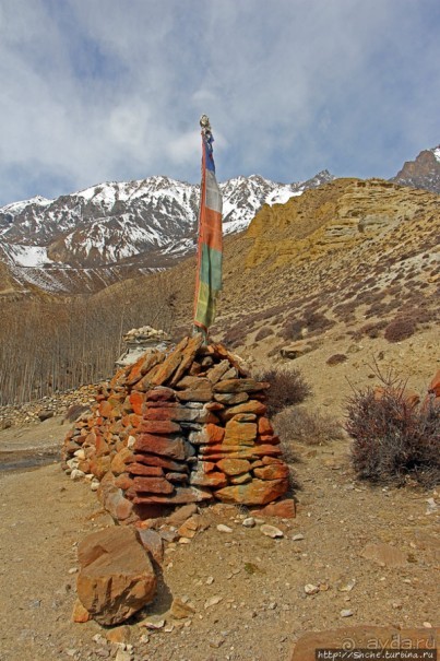 Мустанг. Обратная перемотка. День второй — чистое созерцание