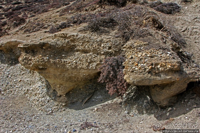 Мустанг. Обратная перемотка. День второй — чистое созерцание