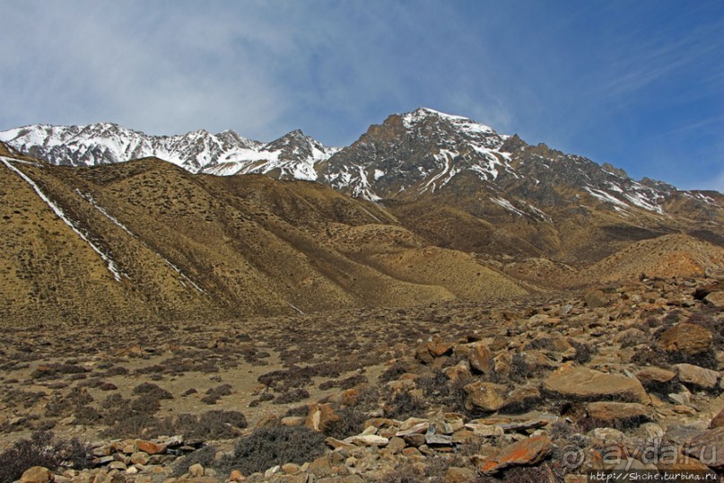 Мустанг. Обратная перемотка. День второй — чистое созерцание