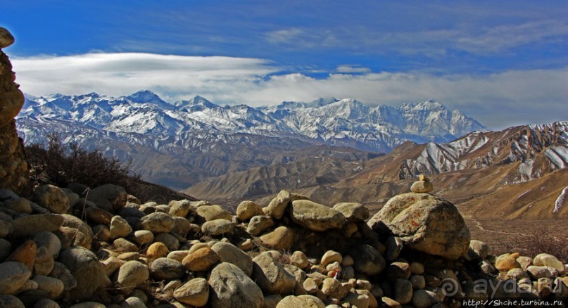 Мустанг. Обратная перемотка. День второй — чистое созерцание