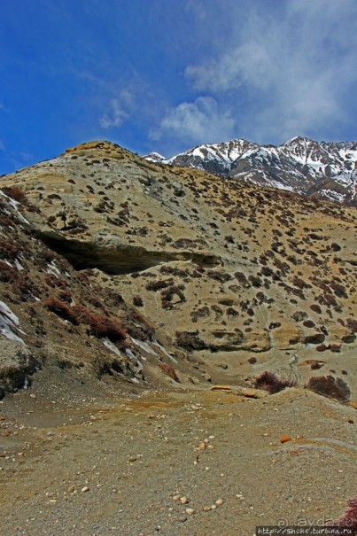 Мустанг. Обратная перемотка. День второй — чистое созерцание