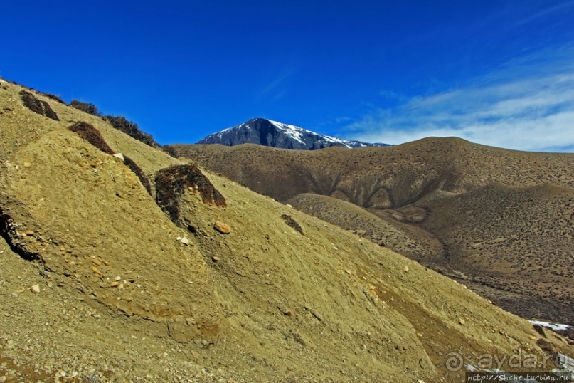 Мустанг. Обратная перемотка. День второй — чистое созерцание