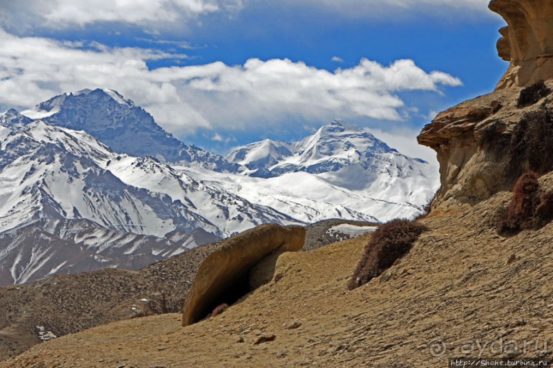 Мустанг. Обратная перемотка. День второй — чистое созерцание
