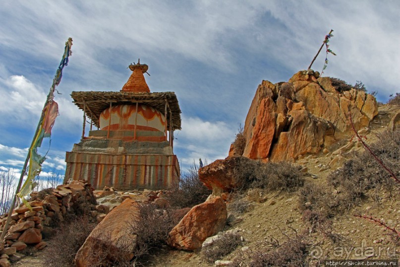Мустанг. Обратная перемотка. День второй — чистое созерцание