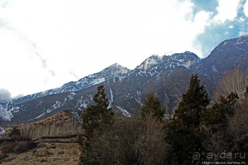 Мустанг. Обратная перемотка. День второй — чистое созерцание