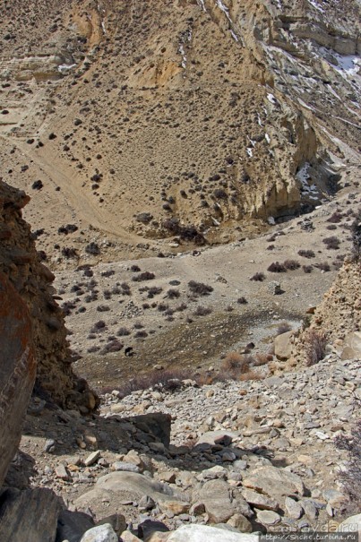 Мустанг. Обратная перемотка. День второй — чистое созерцание