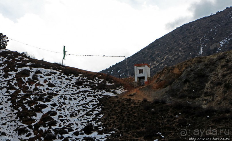 Мустанг. Обратная перемотка. День второй — чистое созерцание
