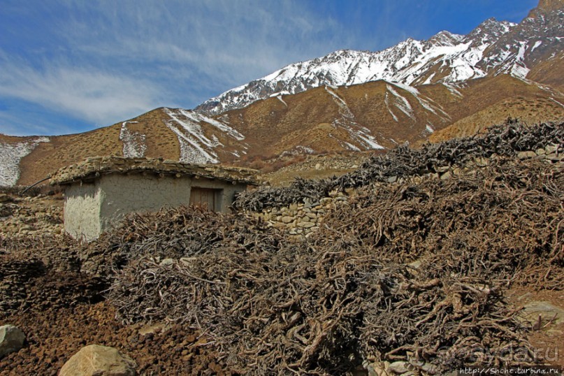 Мустанг. Обратная перемотка. День второй — чистое созерцание