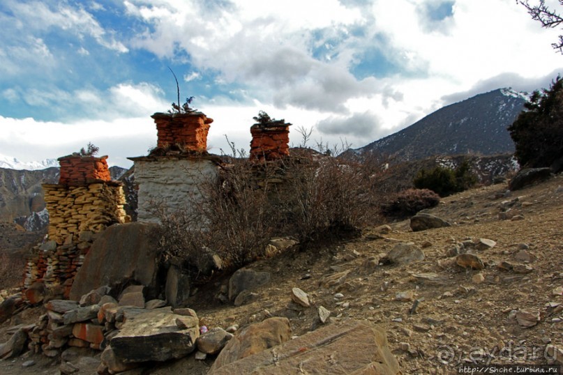 Мустанг. Обратная перемотка. День второй — чистое созерцание