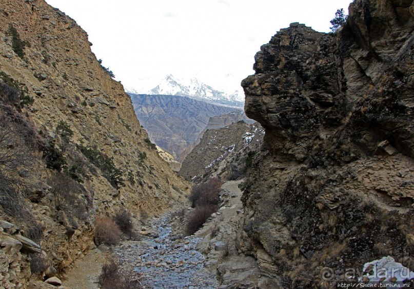 Мустанг. Обратная перемотка. День второй — чистое созерцание