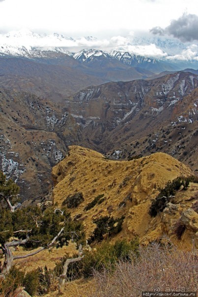 Мустанг. Обратная перемотка. День второй — чистое созерцание