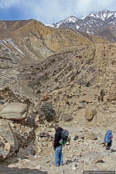 Мустанг. Обратная перемотка. День второй — чистое созерцание