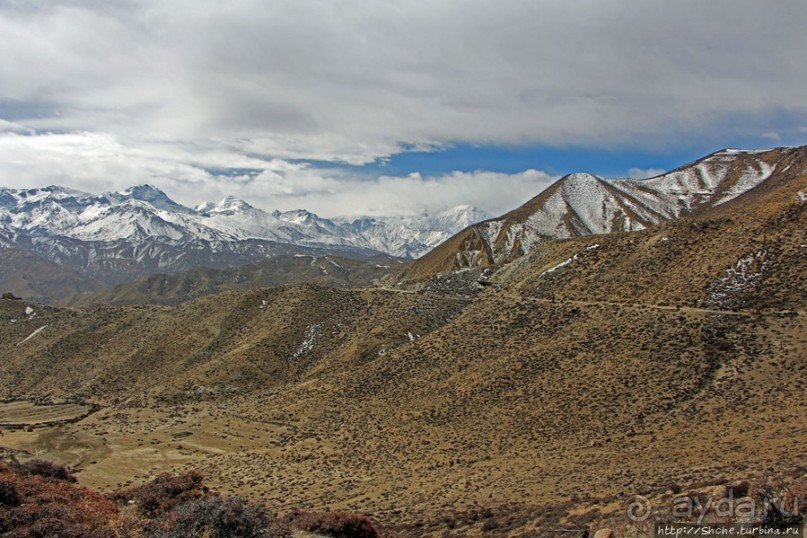 Мустанг. Обратная перемотка. День второй — чистое созерцание