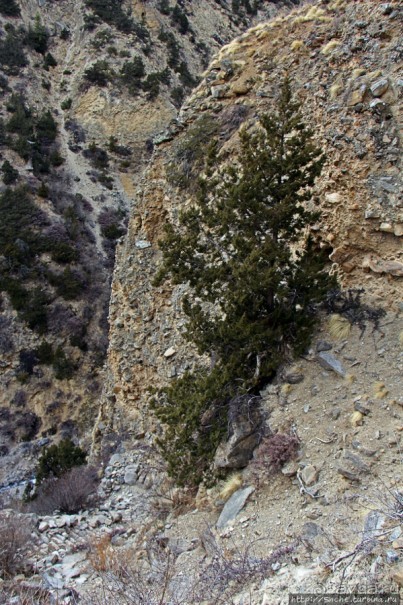 Мустанг. Обратная перемотка. День второй — чистое созерцание