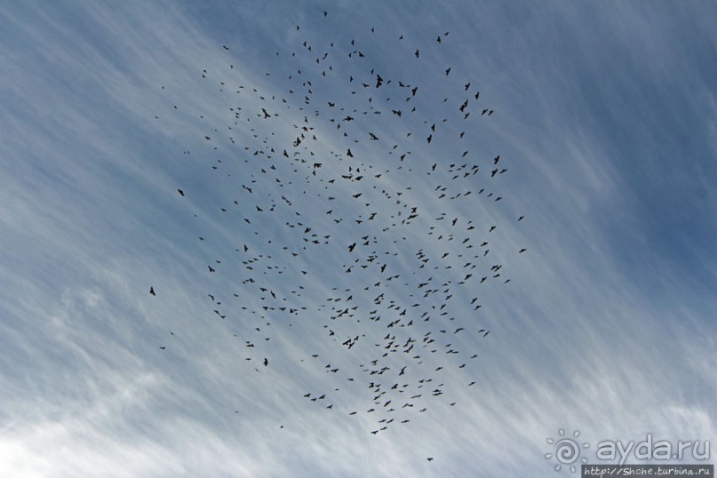 Мустанг. Обратная перемотка. День второй — чистое созерцание