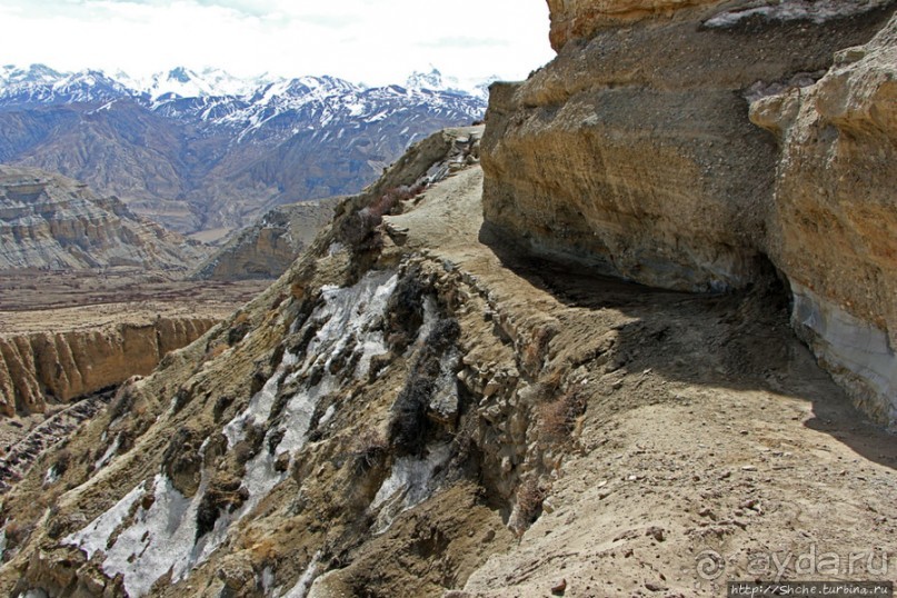 Мустанг. Обратная перемотка. День второй — чистое созерцание