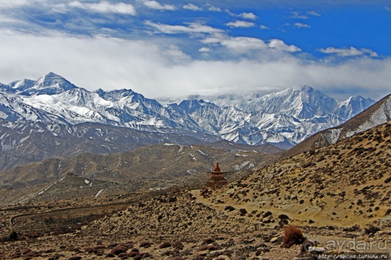 Мустанг. Обратная перемотка. День второй — чистое созерцание